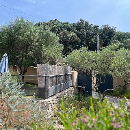 Villa Pierre Blanche Le Calme A 5Mn Du Centre Ville Nîmes Buitenkant foto