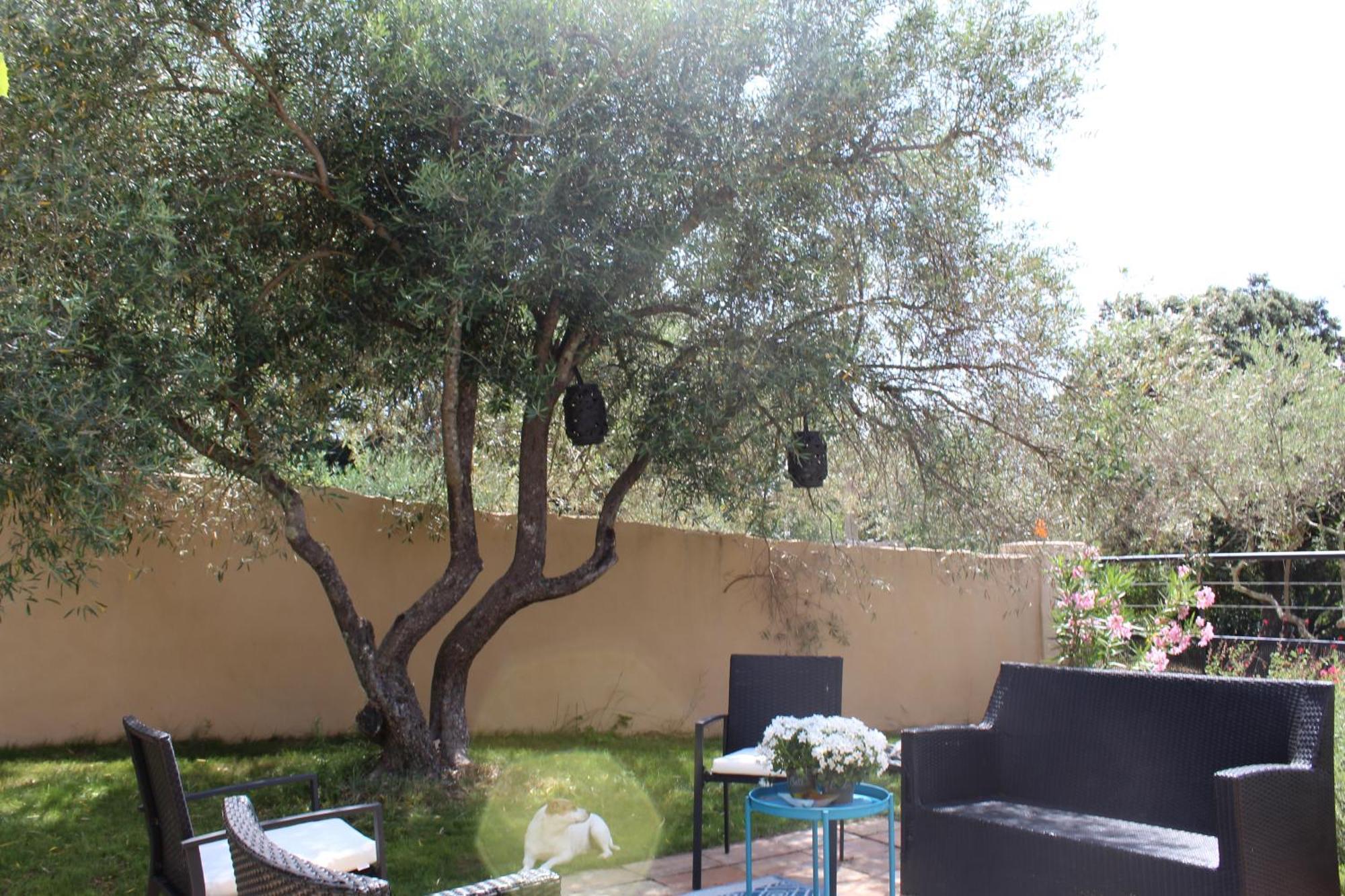 Villa Pierre Blanche Le Calme A 5Mn Du Centre Ville Nîmes Buitenkant foto